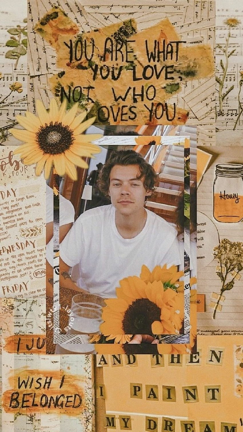 ܓ6845 Harry Styles Aesthetic - Android / iPhone Background ( Hintergrund / Android / iPhone) (, ) () (2021), Harry Styles Flower HD-Handy-Hintergrundbild