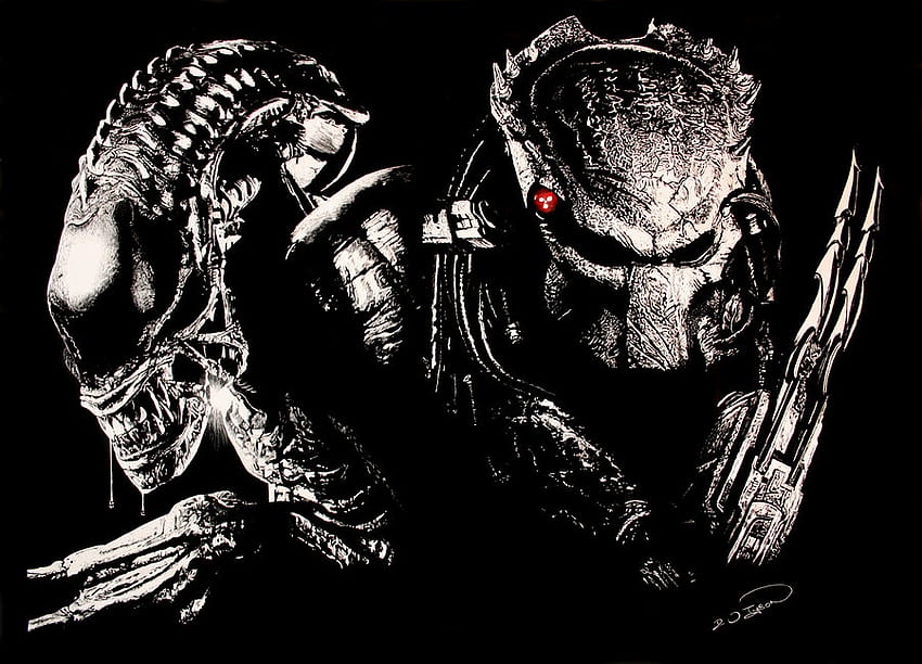 Alien and predator, aliens, predator, movie, alien HD wallpaper