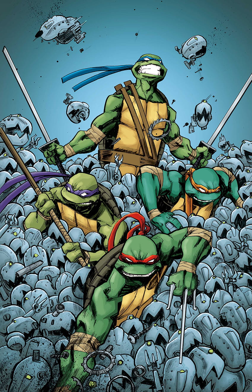 Teenage Mutant Ninja Turtles (TMNT) Cover a Duncan Background HD phone wallpaper