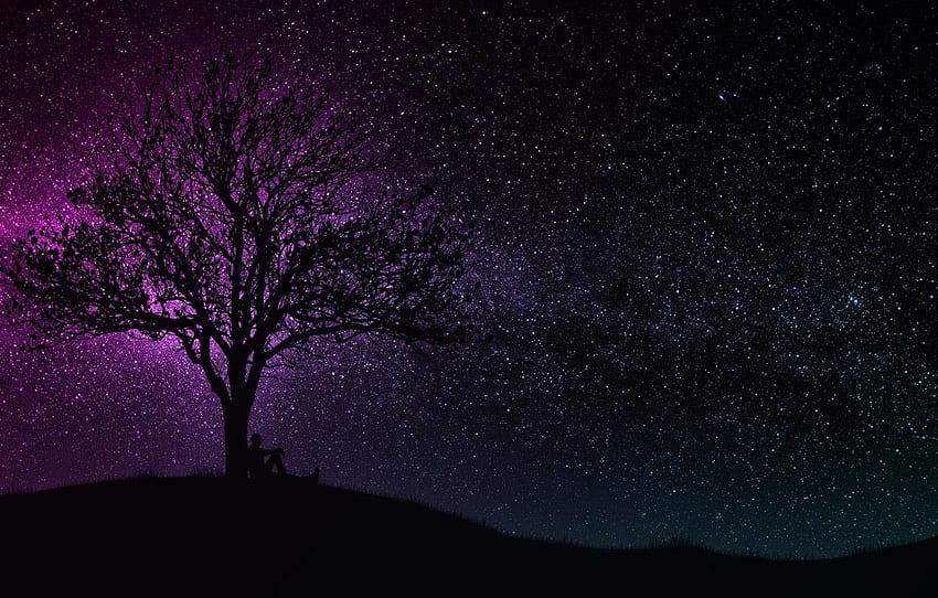 oscuro, negro, arte, árbol, hombre, colina, púrpura, silueta, cielo estrellado, varios, u para, sección разное -, Night Sky Art fondo de pantalla