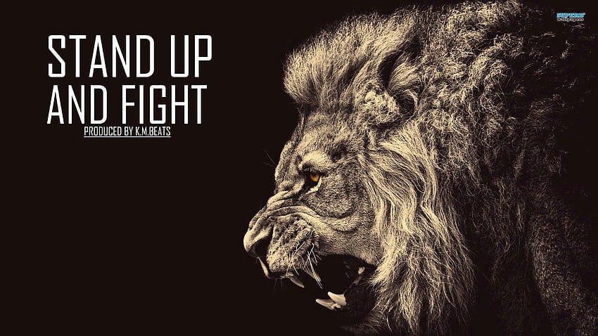 Economy Is Collapsing - Stand Up And Fight. Lion , Lion , Fire lion HD wallpaper