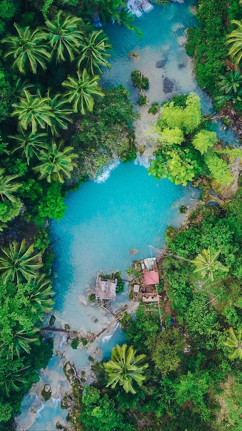 island, palm trees, top view, Philippines Aesthetic HD phone wallpaper
