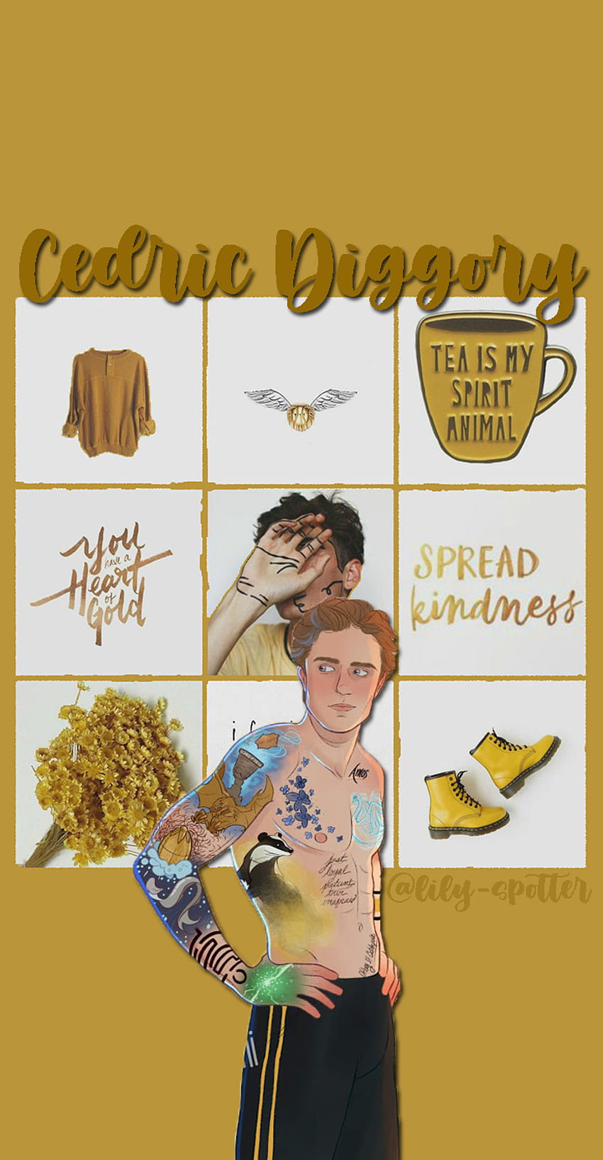 Tumblr, Harry Potter Cedric Diggory HD phone wallpaper