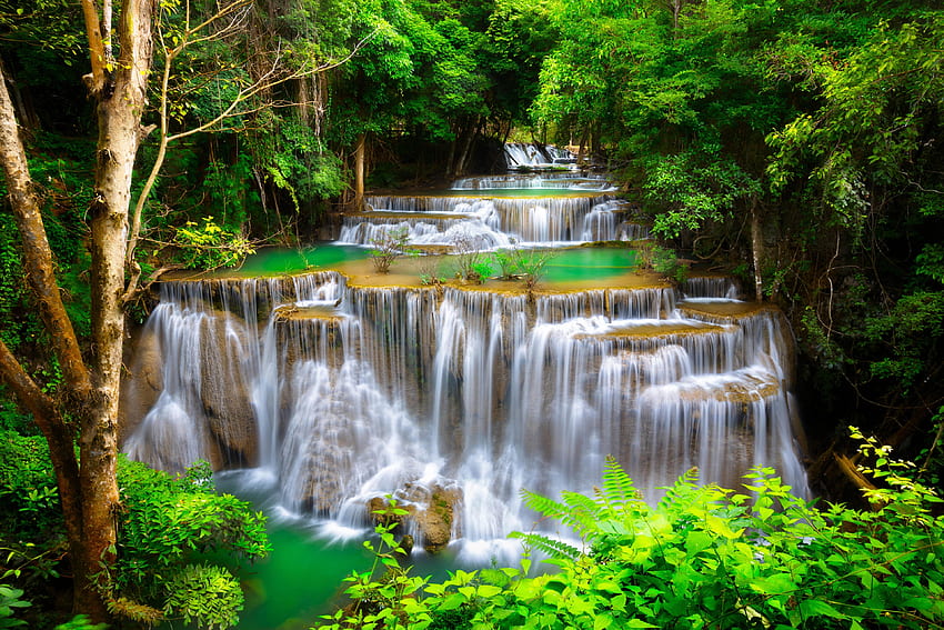 Schöne Waldkaskaden, Fluss, exotisch, Kaskaden, Wasserfall, Grün, Bäume, schön, Wald HD-Hintergrundbild
