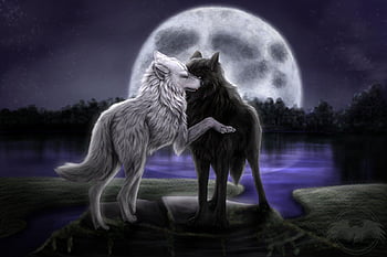 cool wolf backgrounds anime
