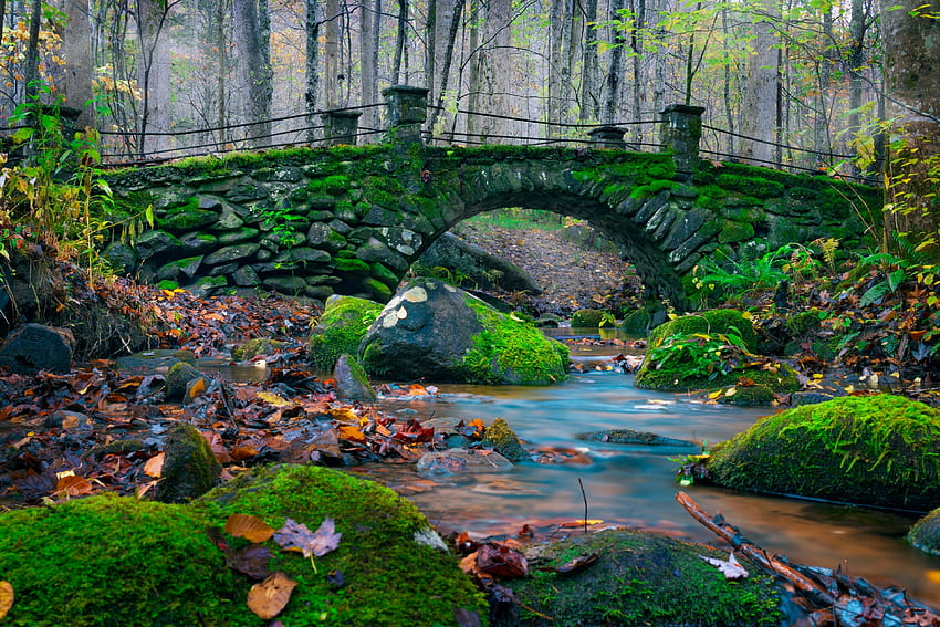 Musgo, naturaleza, rocas, puente de piedra, río fondo de pantalla