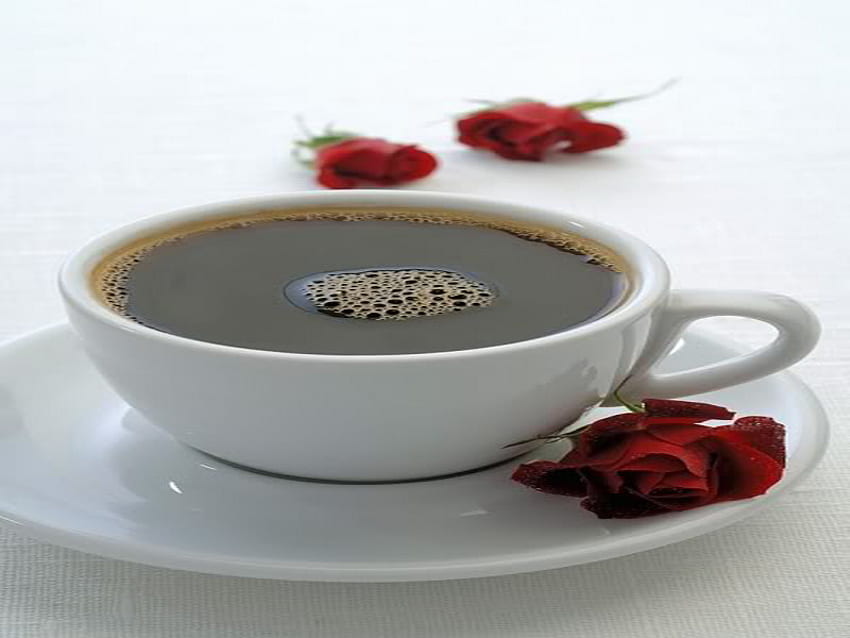 roses, coffee, simple, cup, red HD wallpaper
