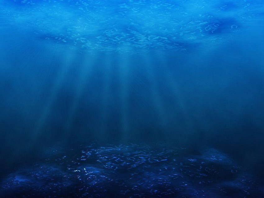Ocean Floor HD wallpaper
