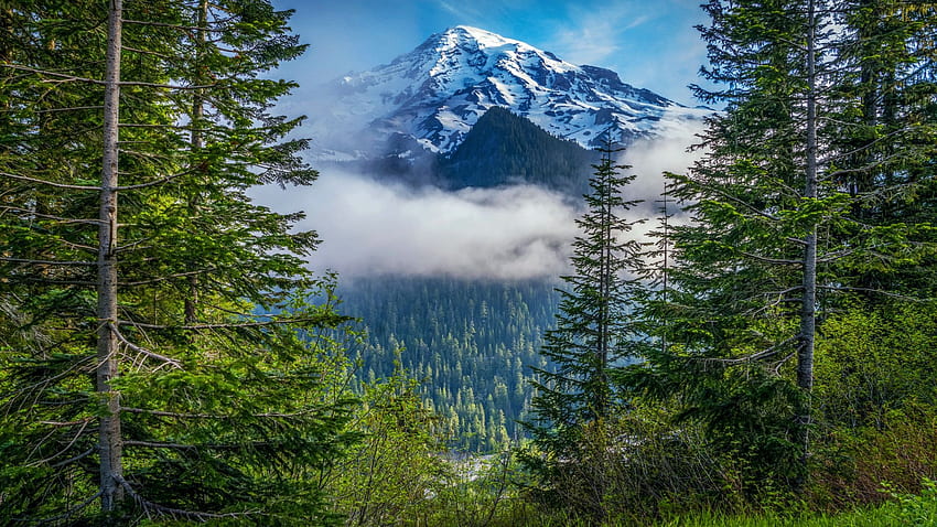 Mt Rainier National Park, Cascade Range, Washington, Felsen, USA, Landschaft, Bäume, Wolken, Himmel HD-Hintergrundbild