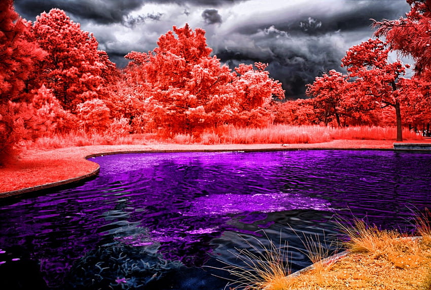 ☀Colorful on Odd Day☀, colorful, odd day, plants, graphy, silent, colors, peaceful, wonderful, reflections, bright, waterscapes, trees, amazing, water, calm, splendid, magnificent, beautiful, lakes, leaves, light, cool, clouds, nature, sky, splendor HD wallpaper