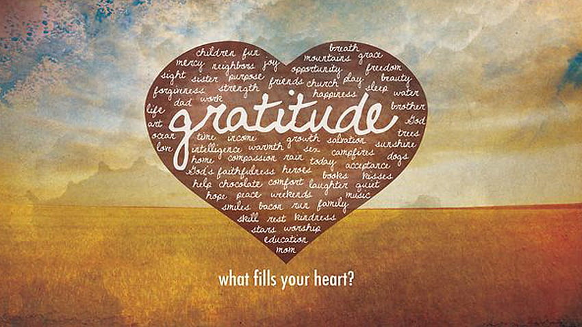 PC Gratitude , Arin Mckoy HD wallpaper