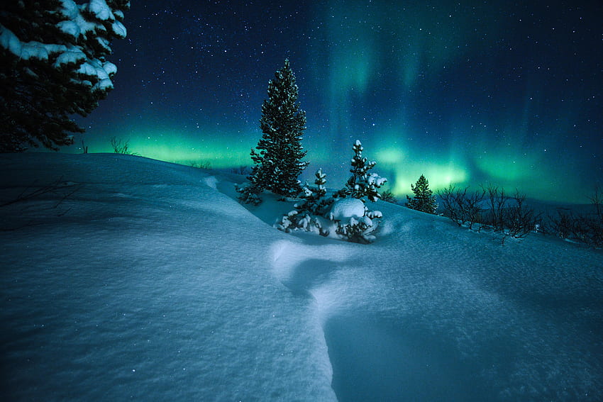 Aurora Boreal Círculo Polar Ártico Noruega, Naturaleza, , y Paisaje Ártico fondo de pantalla