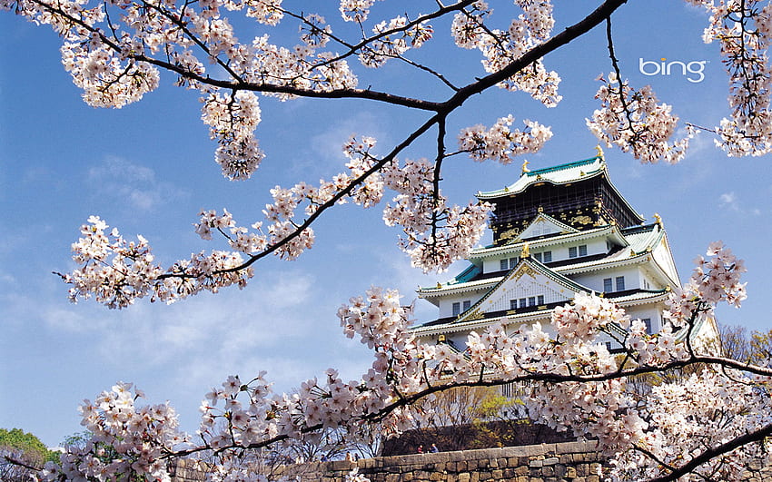 Stile giapponese: case grafiche di set di fiori di ciliegio, computer in stile giapponese Sfondo HD