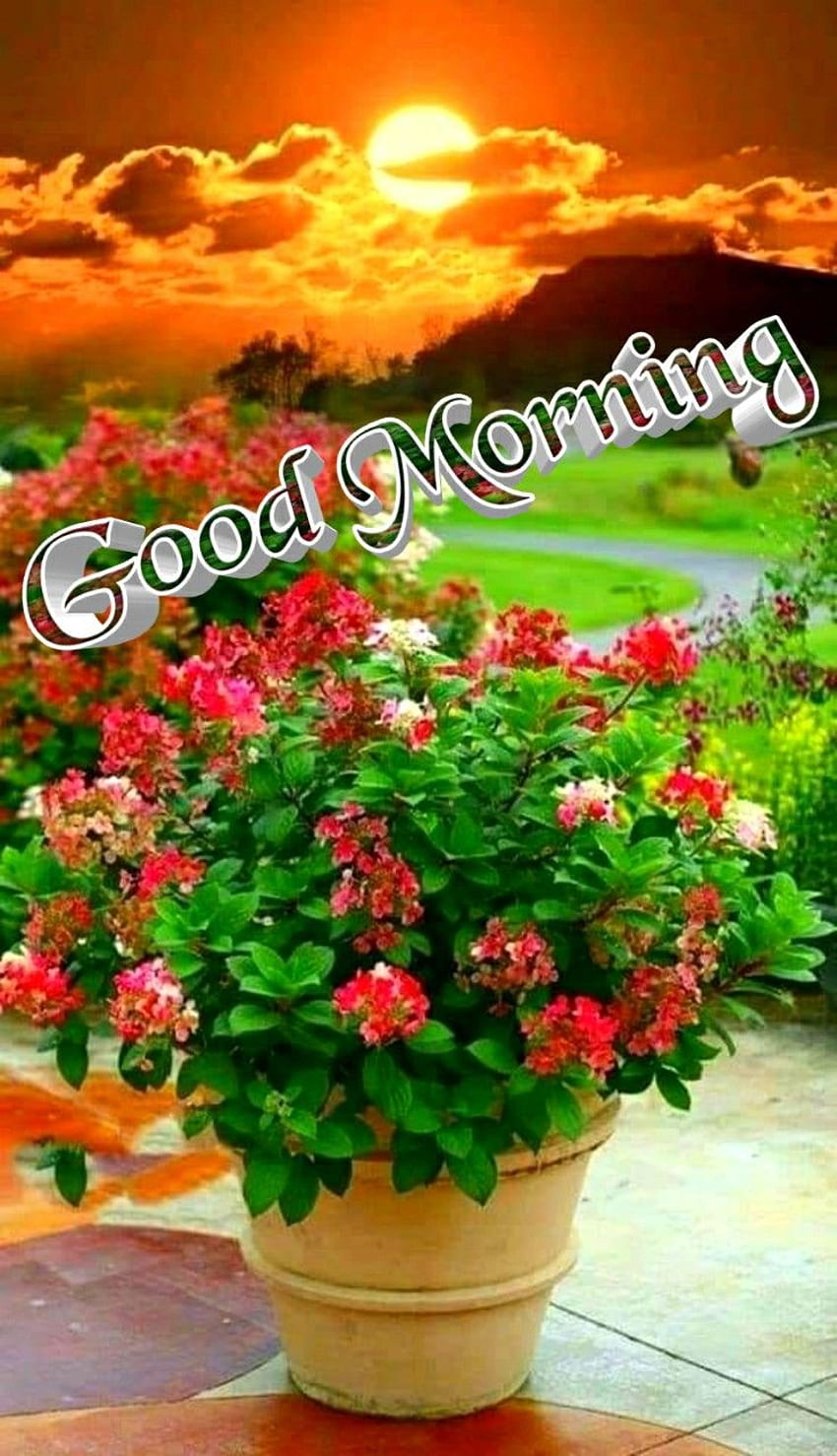 Beautiful Flower Garden Good Morning Image | Best Flower Site