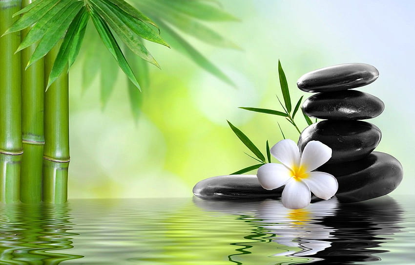 flower, water, stones, bamboo, Spa, spa for , section разное HD wallpaper