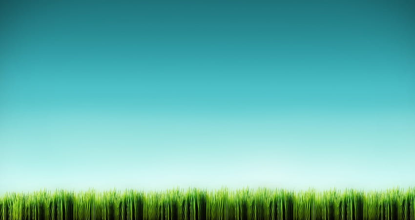 źdźbła trawy, fantasy, 3d Tapeta HD
