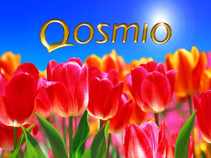 Qosmio-Gefühl, Qosmio, Gefühl HD-Hintergrundbild