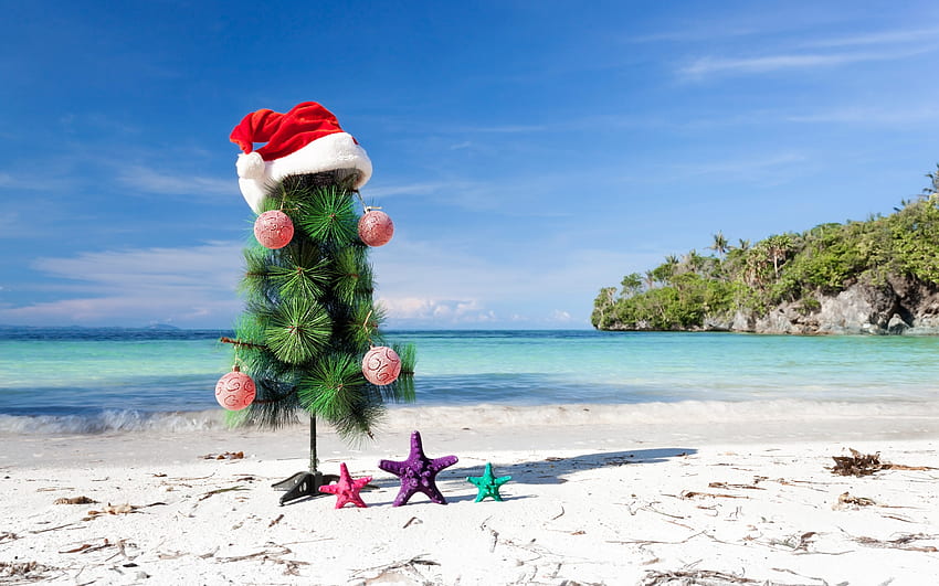 크리스마스 트리, 해변, 모래, 열대 섬, 새해, 크리스마스, 해상도가 있는 바다. 고품질 HD 월페이퍼