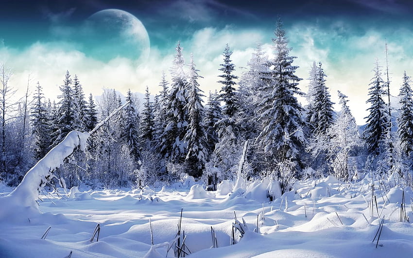 Winter For, Gothic Winter HD wallpaper