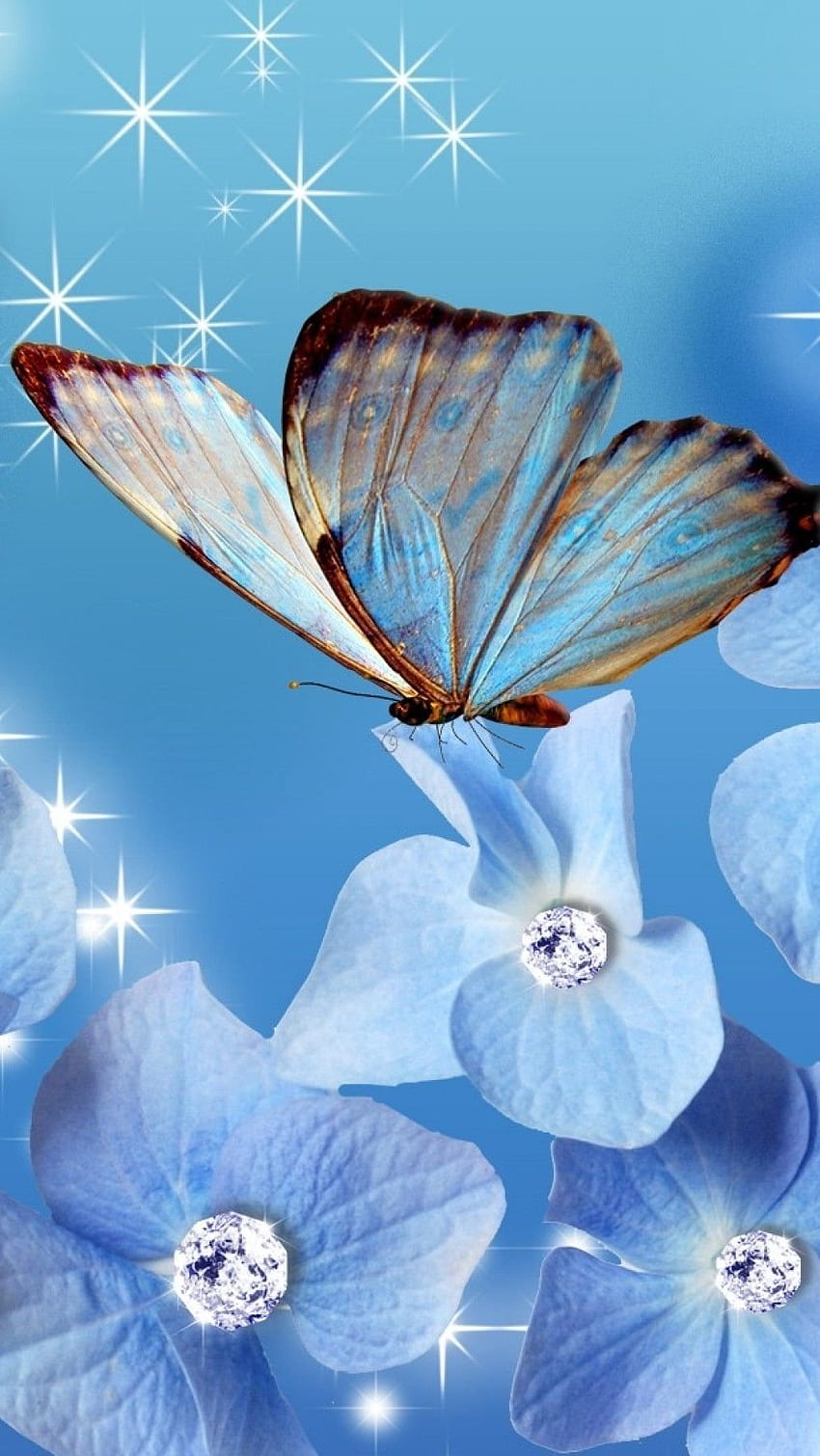 Mavi Elmas, Kelebek, Mavi Çiçekler HD telefon duvar kağıdı