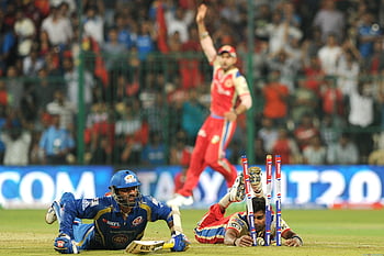 Ipl Cricket - & Background HD wallpaper | Pxfuel