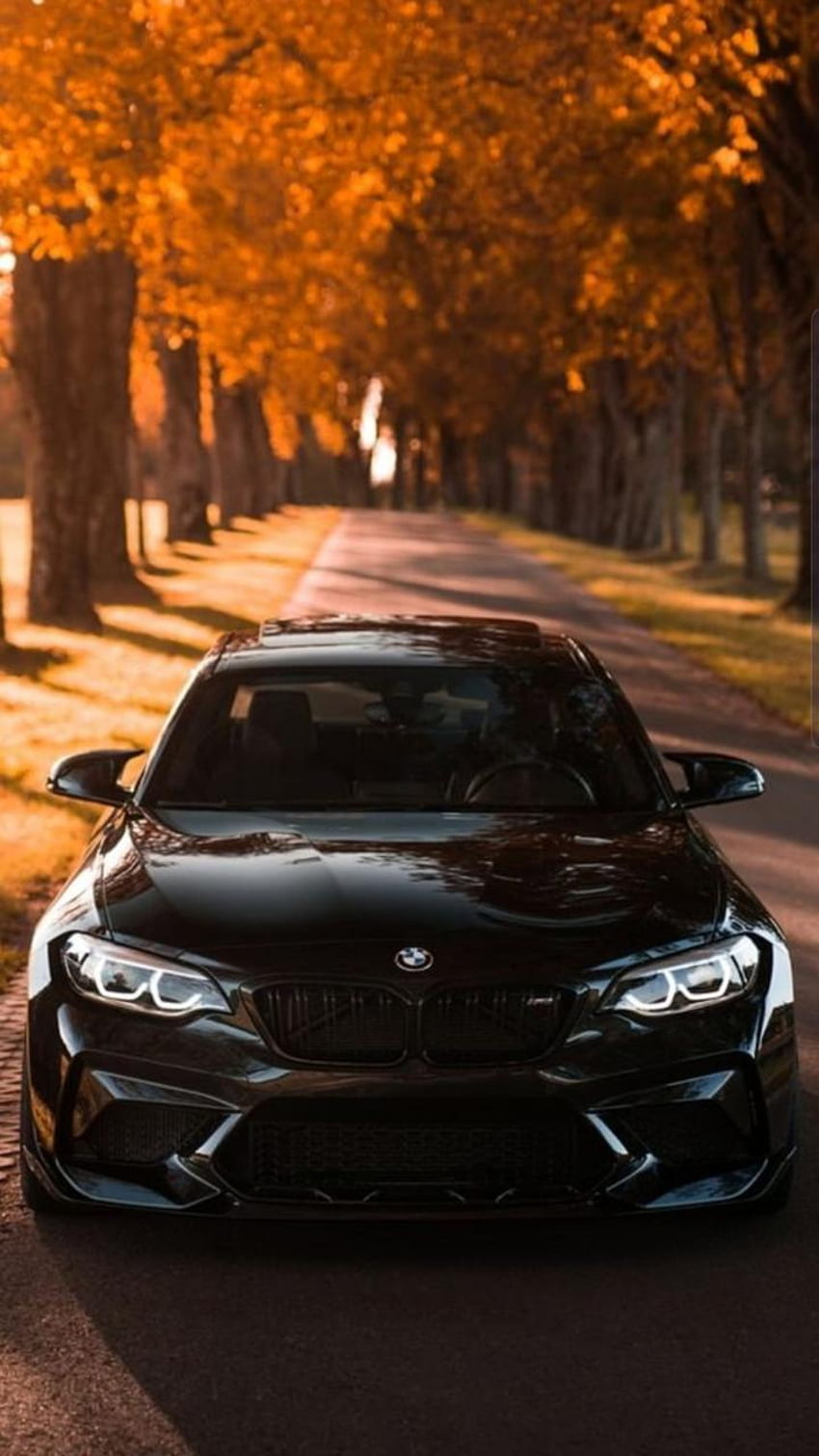 BMW, oświetlenie samochodowe, jesień, samochód Tapeta na telefon HD