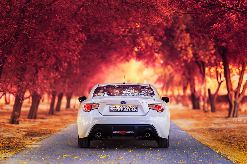 自動車, 秋, スバル, 車, の背面図, 背面図 高画質の壁紙