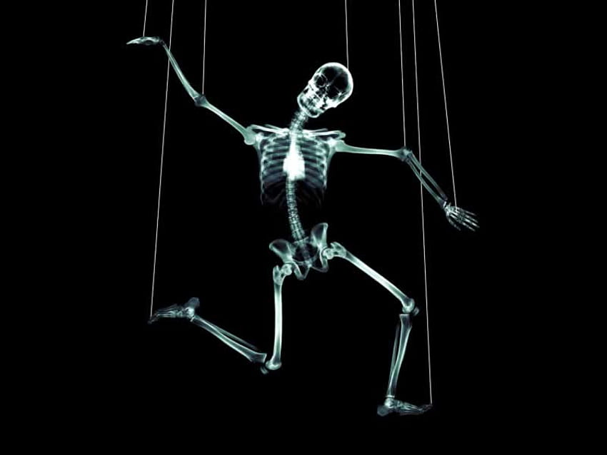 Puppet, string, dance, skeleton, funny, strings HD wallpaper