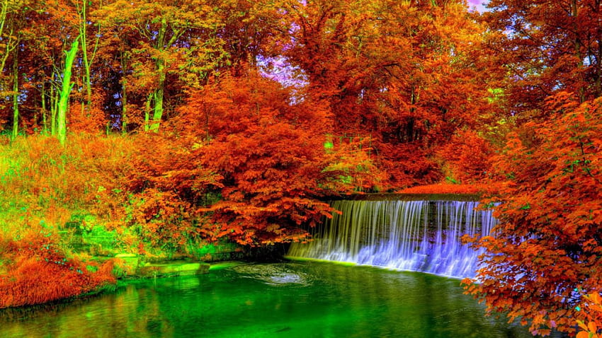 Есенен поток, цветен, рекичка, есен, красив, парк, каскади, дървета, есен, природа, прекрасен, зеленина, поток HD тапет