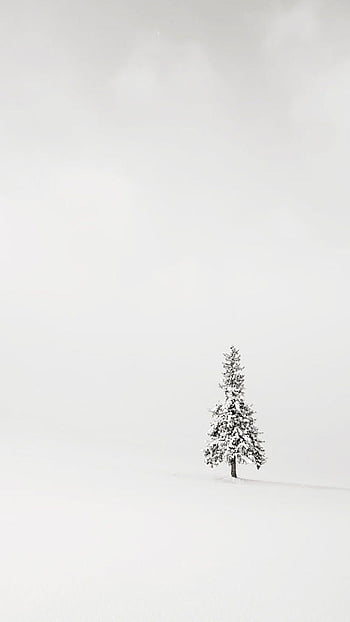 White minimalist iphone HD wallpapers | Pxfuel