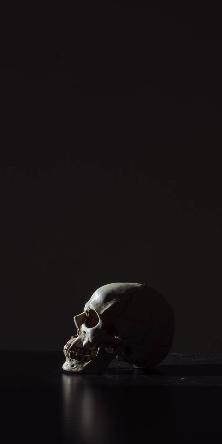 Rubarbarella의 해골 - 현재 d9. 2020년에 인기 있는 수백만 개를 찾아보세요. Skull , Black skulls , Skull iphone, Polygon Skull HD 전화 배경 화면