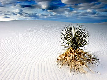 White sand HD wallpapers | Pxfuel