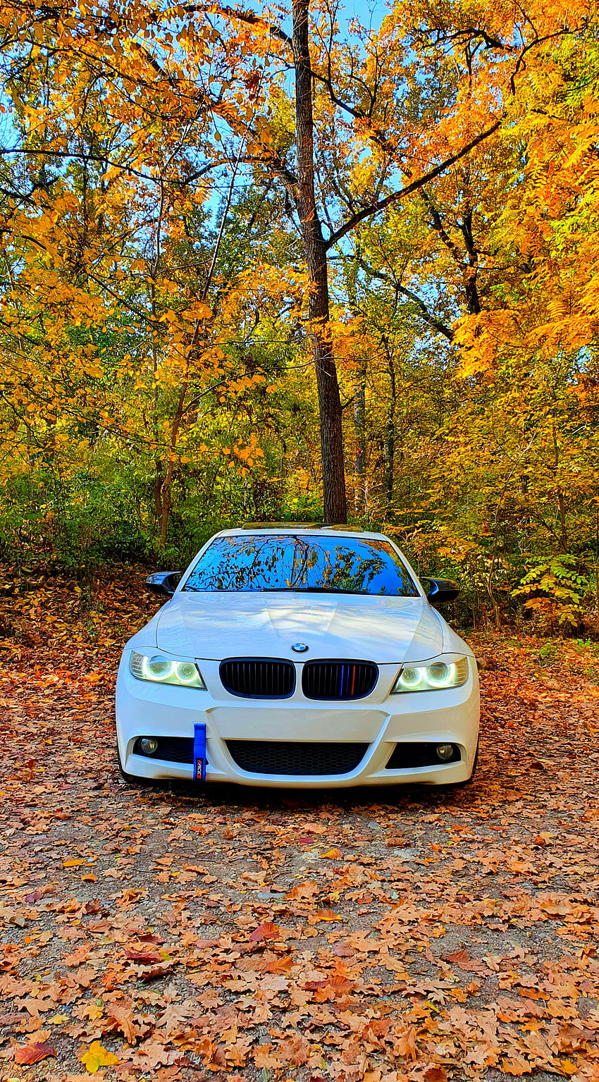 화이트 BMW E90, 3er, 자동차, 리프, 3시리즈, 가을, 카가이 HD 전화 배경 화면
