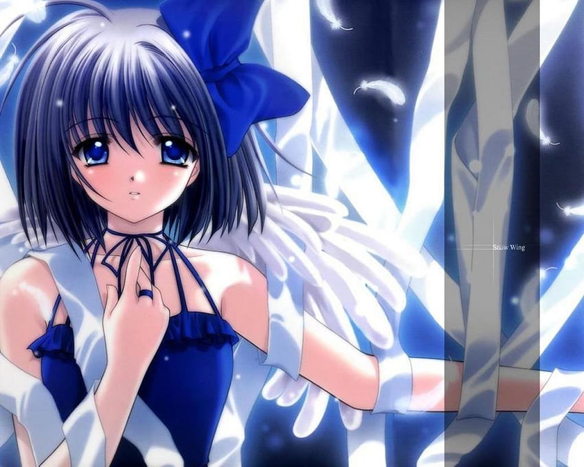 Mädchen, blau, Federn, Anime HD-Hintergrundbild