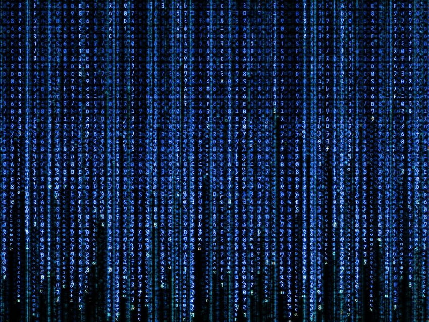 Animated Matrix, Synology papel de parede HD