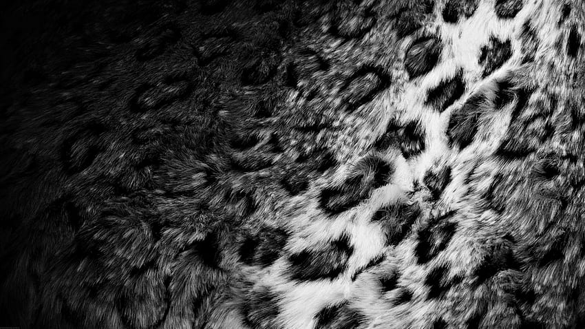 fur leopard print High Quality HD wallpaper