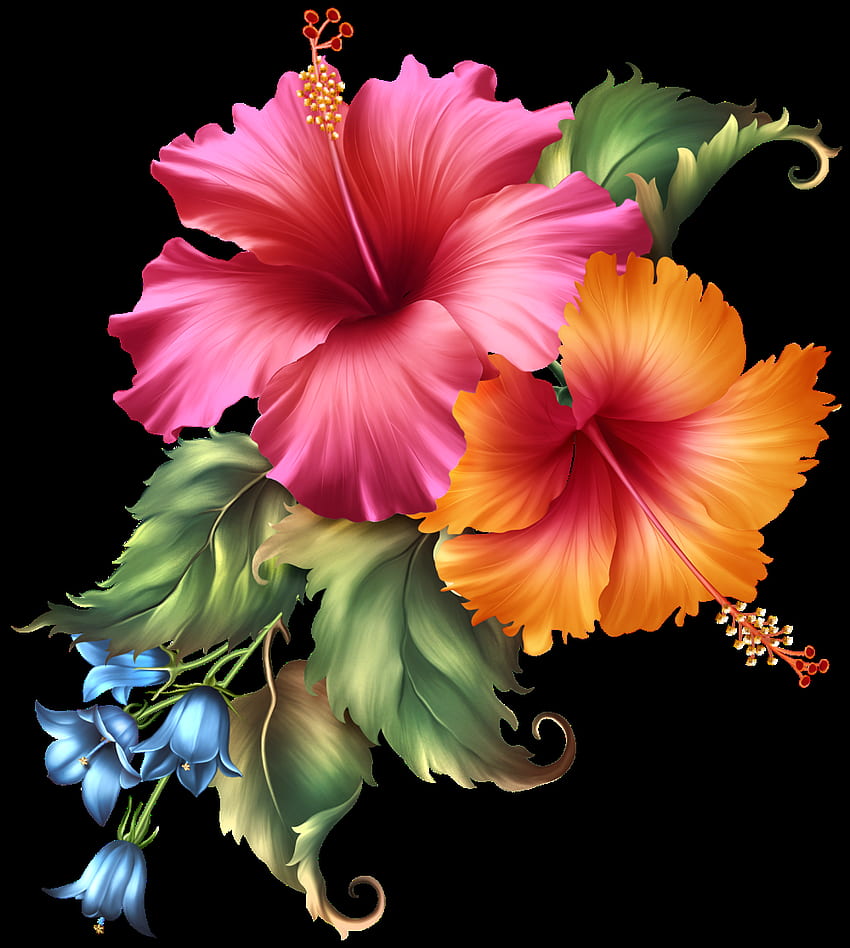 Hawaiian Punch Hibiscus in 2021. Flower art painting, Flower art, Flower painting, Awesome Hawaiian Flowers HD-Handy-Hintergrundbild