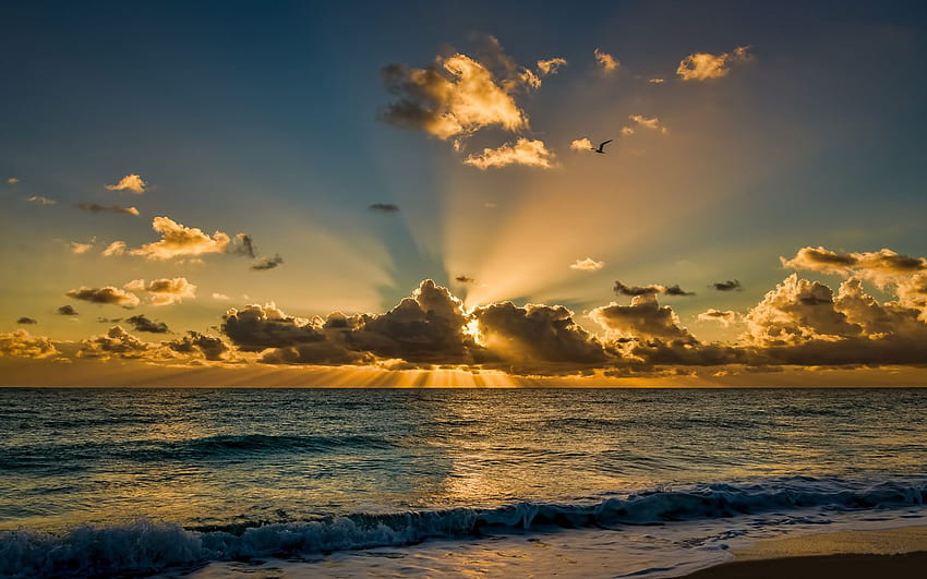 Miami Beach Floryda piękny wschód słońca rano morze fale oceanu niebo z ciemnym tle promieni słonecznych dla Windows, scena Miami Beach Tapeta HD