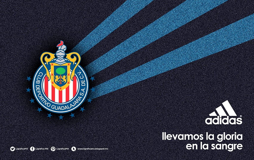 Chivas No Limit Chivas De Guadalajara Hd Wallpaper Pxfuel 