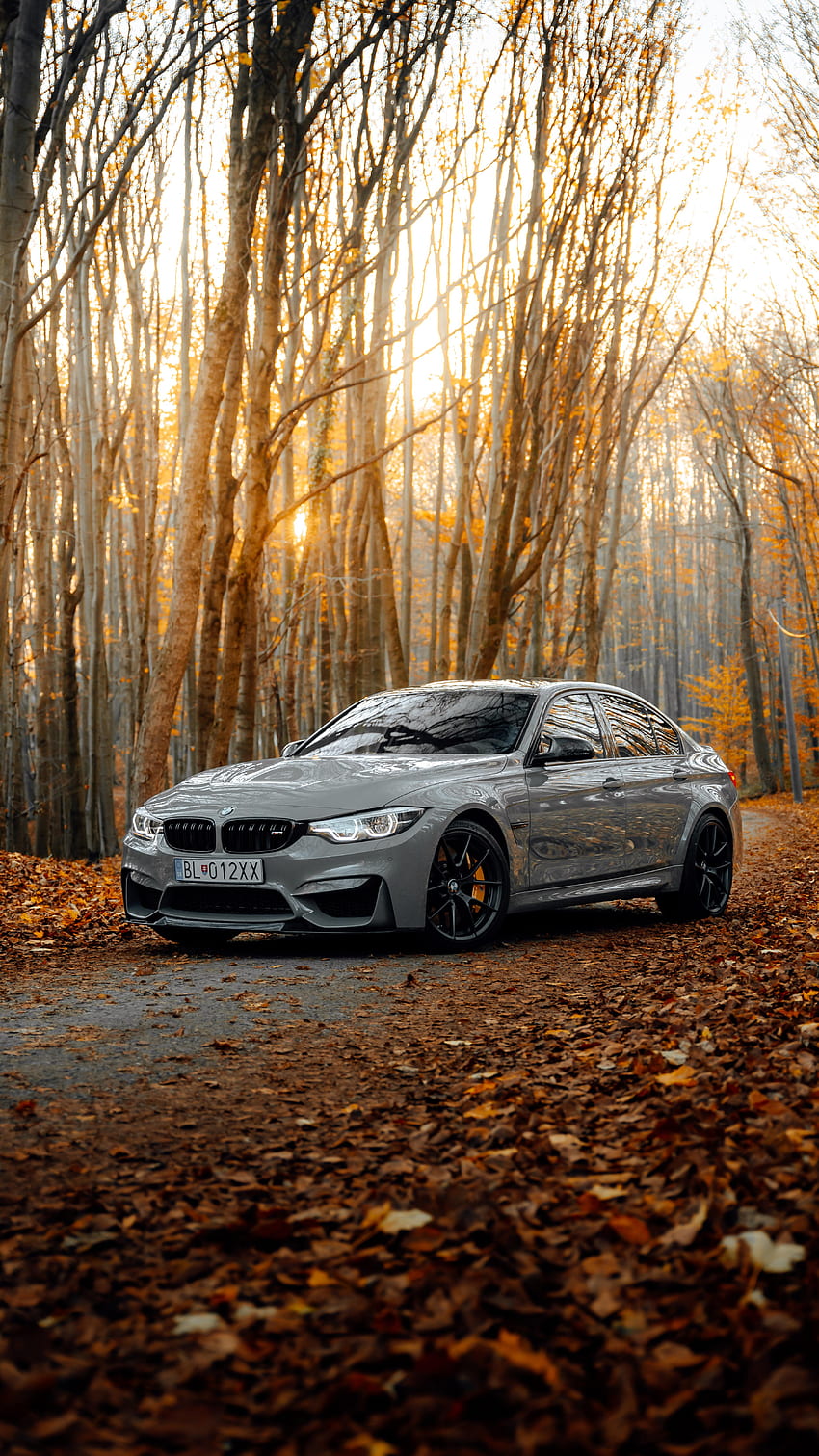 Autumn, Bmw, Cars, Forest, Bmw M3, Car, Grey, Side View HD phone wallpaper
