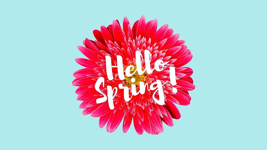 Minimalist Pastel Floral Script Spring HD wallpaper
