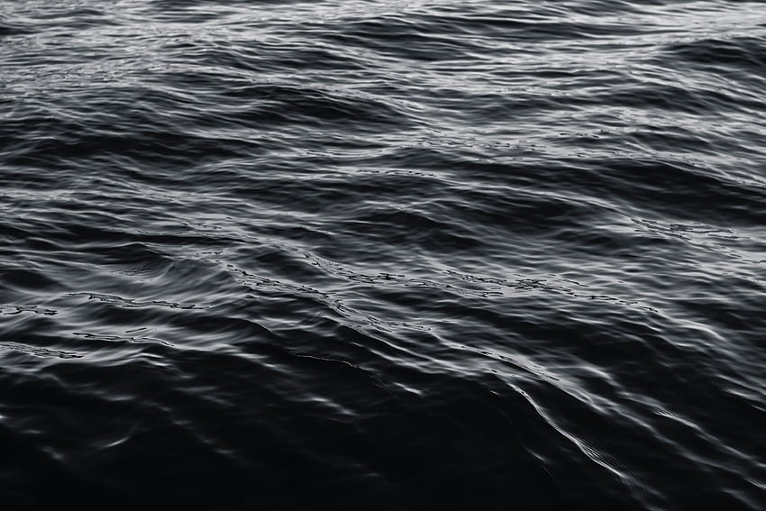 Black Water, Water, Surface, Bw - Black Water HD wallpaper