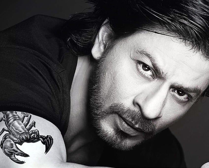 Super cool et élégant dernier des films Shah Rukh Khan Facts N 'Frames. Musique. Santé. Technologie. Voyage. Livres. Éducation., Shahrukh Khan Fond d'écran HD