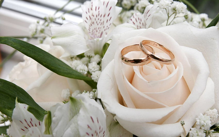 Wedding Rings the Flowers HD wallpaper | Pxfuel