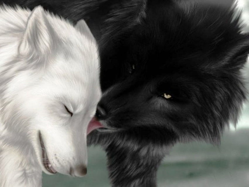 Black and White Wolf - , Black and White Wolf Background on Bat, Cool Black and White Wolf HD wallpaper
