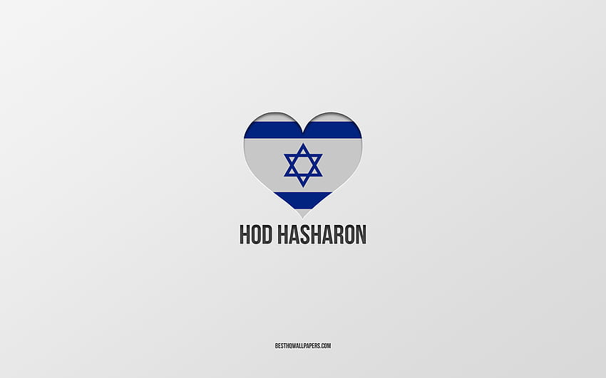 Обичам Ход ХаШарон, Израелски градове, Ден на Ход ХаШарон, сив фон, Ход ХаШарон, Израел, сърце с израелски флаг, любими градове, Обичам Ход ХаШарон HD тапет