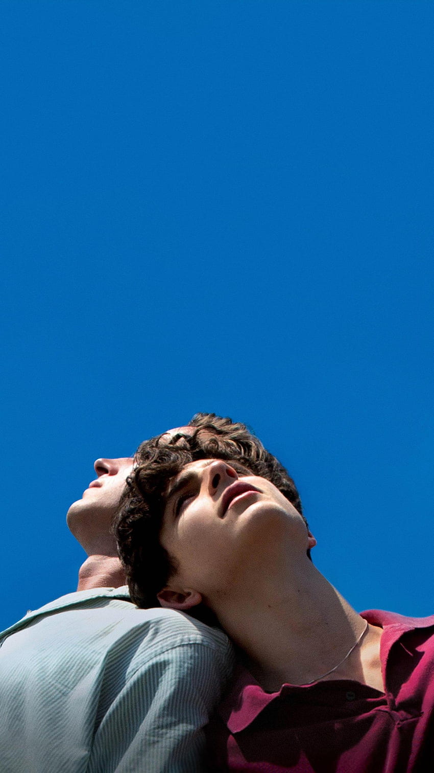 Call Me by Your Name (2017) Phone, The Florida Project HD phone wallpaper