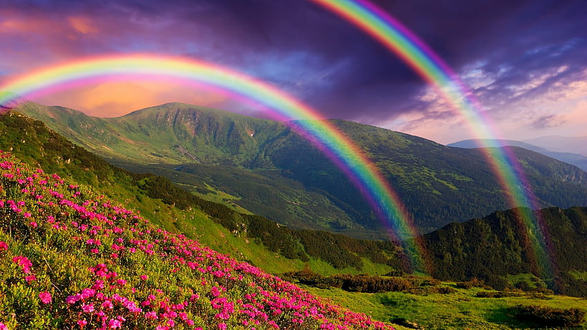 Doppio arcobaleno, paesaggio, cielo, fiori, montagne, nuvole Sfondo HD
