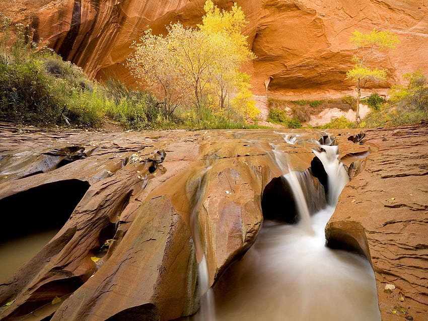 Nature, Water, Trees, Stones, Canyon, Vegetation, Flow, Utah, Stream, Spearhead, Prick HD wallpaper