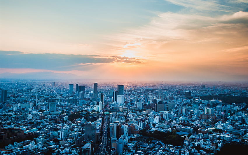 東京、大都市、夕方、日没、東京のパノラマ、東京の街並み、都市景観、東京のスカイライン、日本 高画質の壁紙